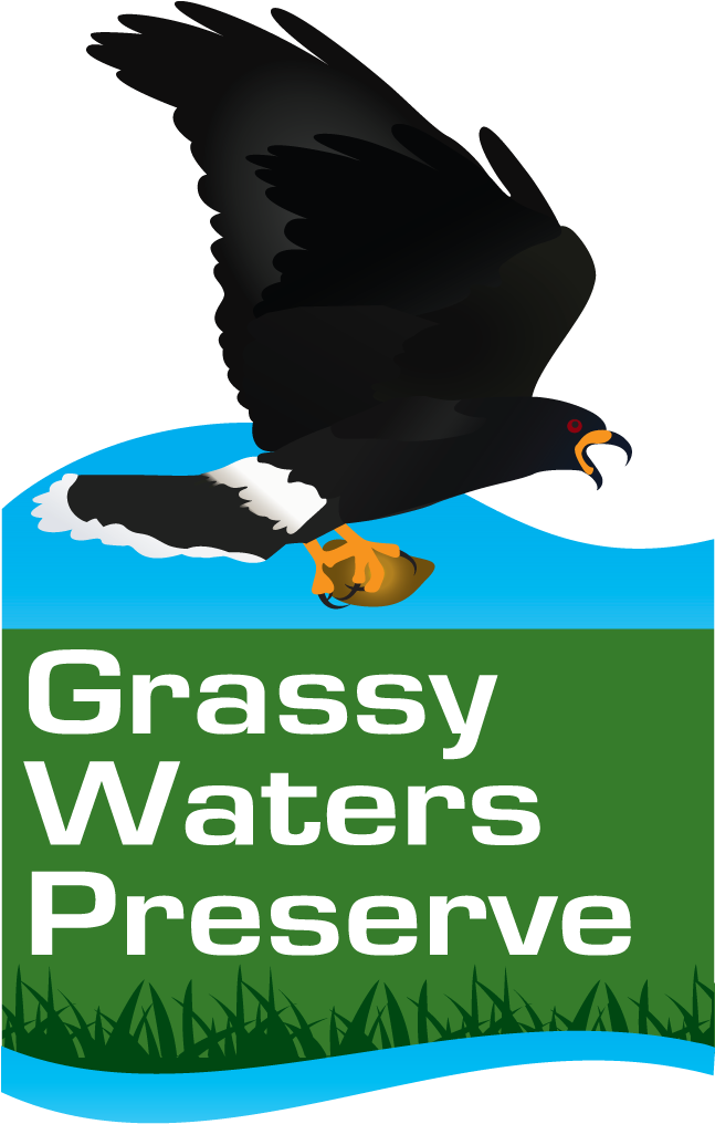 Grassy Waters Logo - Sixties Generation: 24 All Time Classics (646x1038)