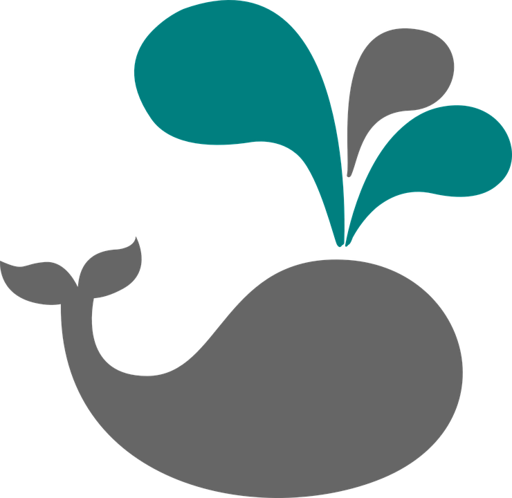 Clip Art Nursery - Whale Spouting Embroidery Design (740x720)