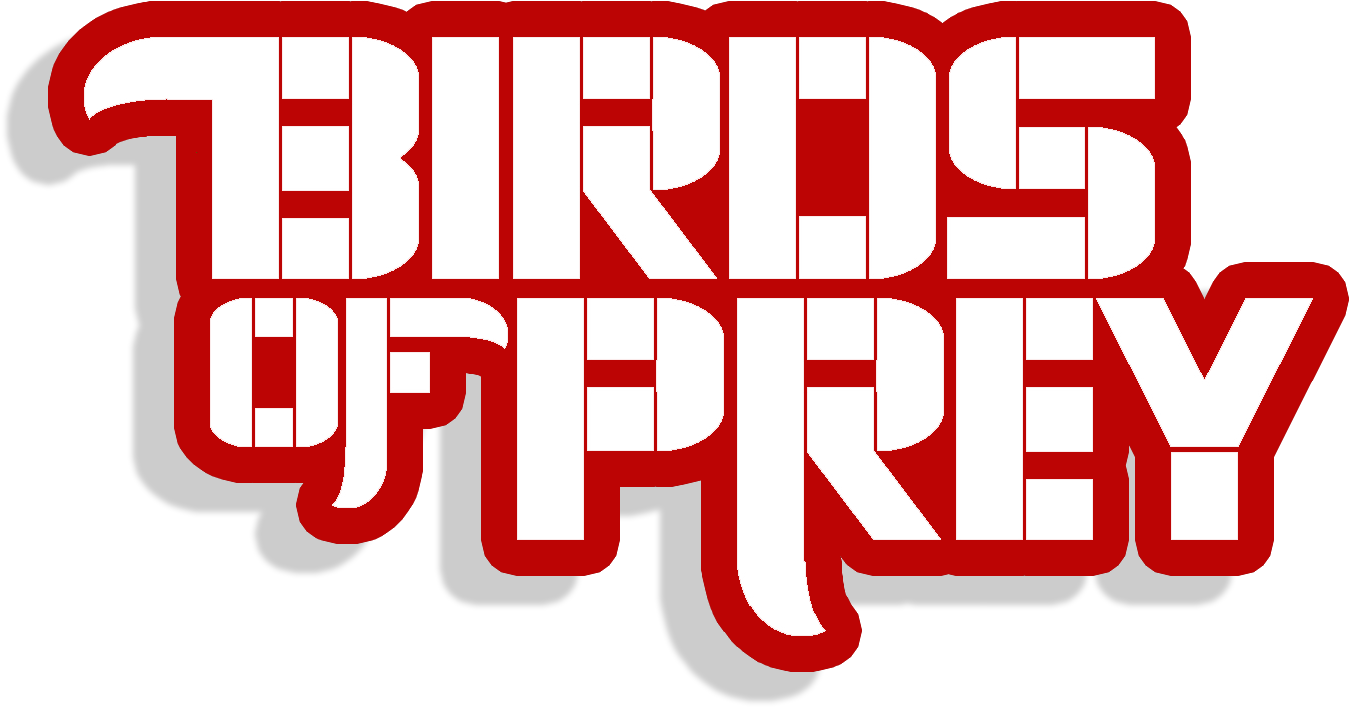 Birds Of Prey Comic Logo (1654x945)