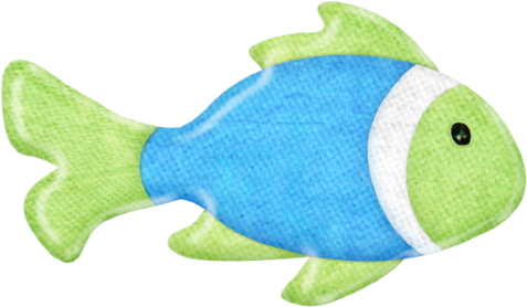 María José Argüeso - Pomacentridae (500x302)