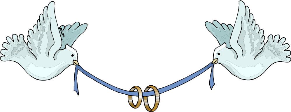 Pin Wedding Birds Clipart - Wedding Rings And Birds (998x387)