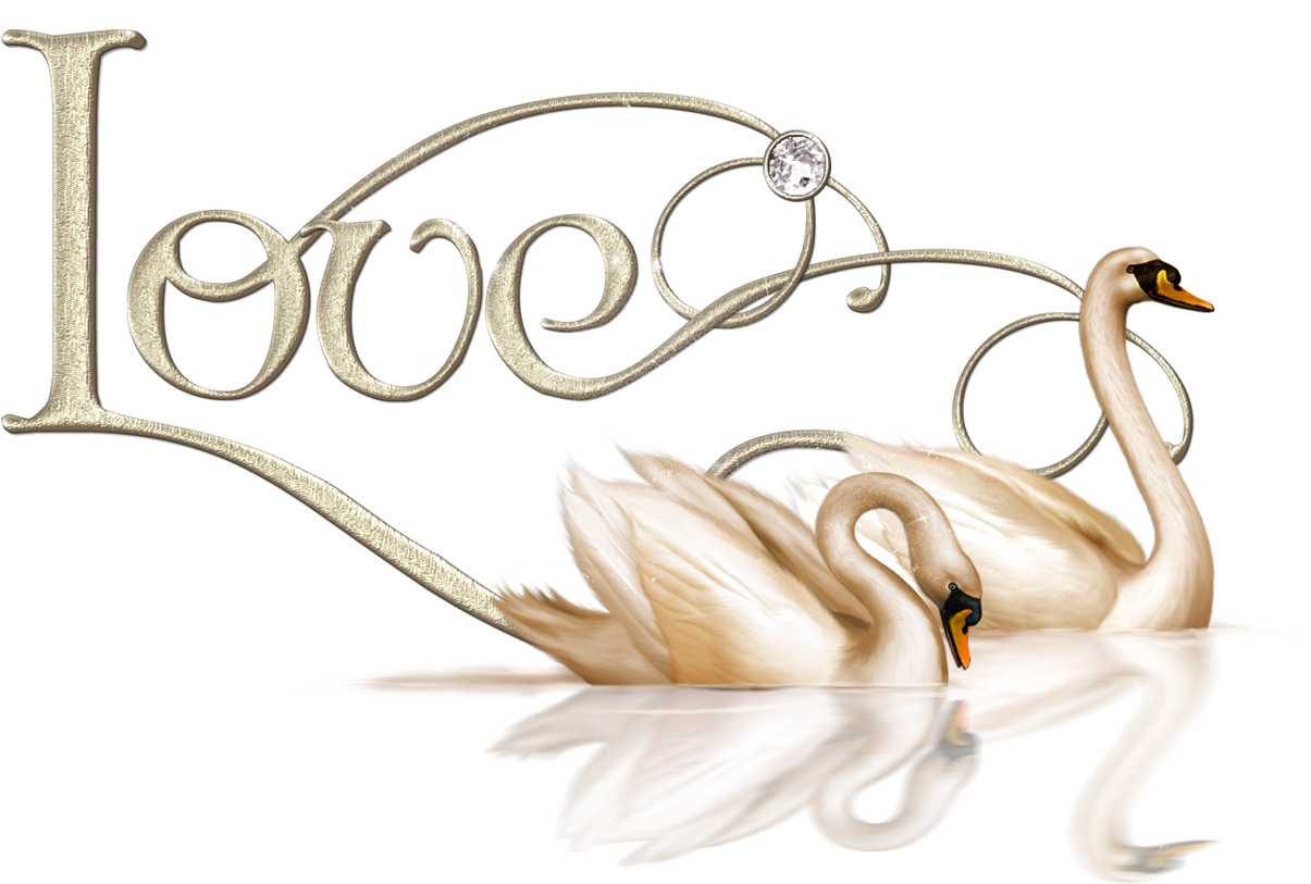 Valentine Love Swans Png Clipart - Miowbali Black Leather Sandals In Platform Heels. Exquisite (1365x912)