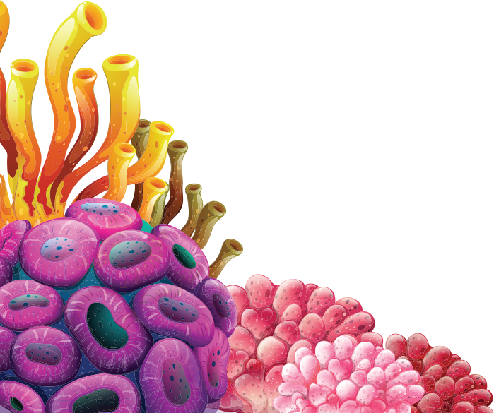 Coral Reef Clipart - Coral Reef Clipart (699x585)