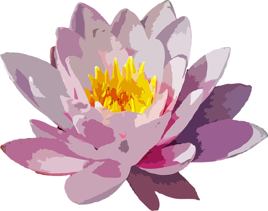 Cartoon Lotus Flower 20, - Water Lily Flower Png (914x720)