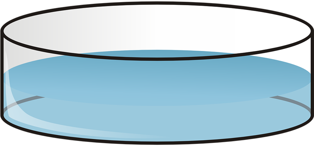 Kapaa, Hawaii Readyman Services Petri Dish Clip Art - Petri Dish Clip Art (1000x500)