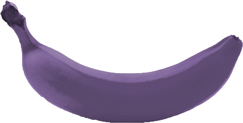 4 Royal Purple Banana Trees Kens Nursery - Purple Banana (900x600)