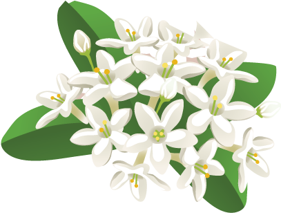 Filipino Fun Messages Sticker-3 - National Symbol Of The Philippines Clip Art (415x322)