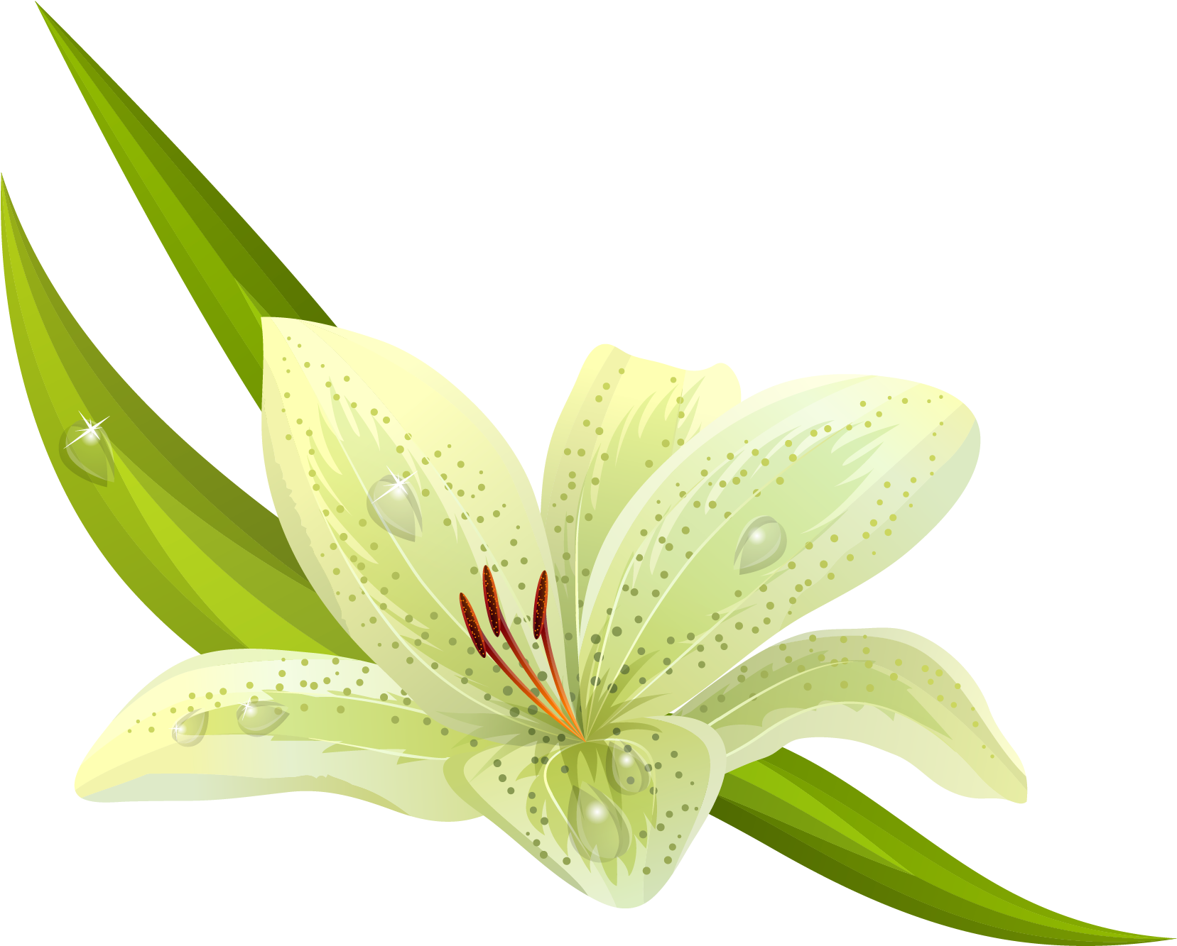 Yellow Flower Clipart Lilium - Lilium Clipart (1694x1360)