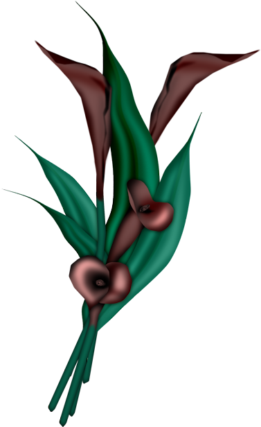 Flor Clipart, 3d Cartões, Floral Arte, Orquídeas, Clip - Calla Lily Blue Png (420x647)