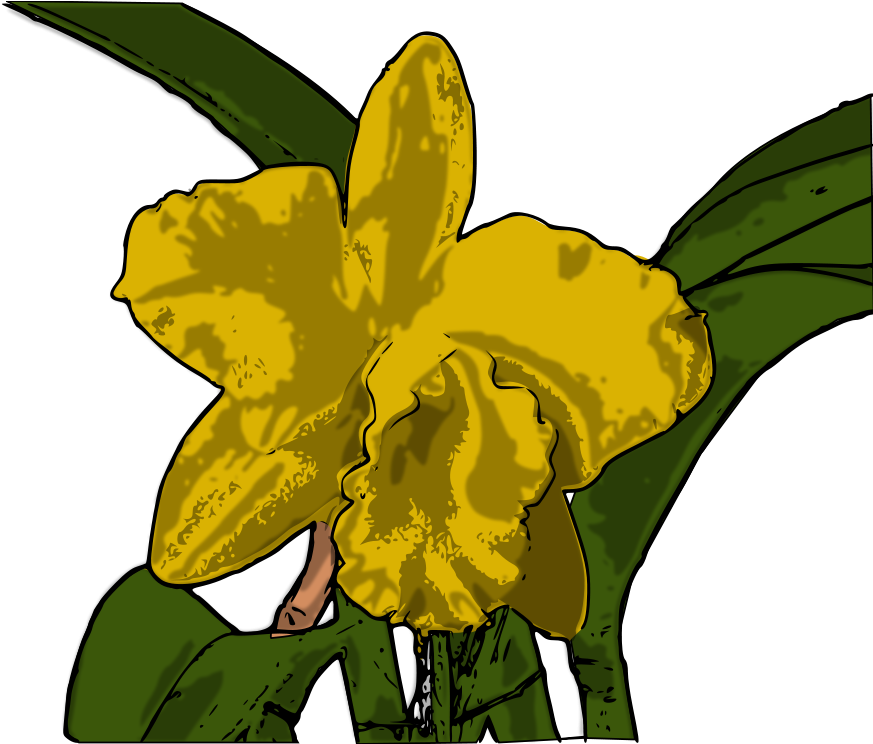 How To Set Use Orquídea Icon Png - Orchids (900x743)