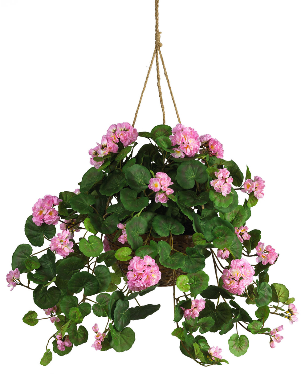 Money Plant Clipart - Hanging Pot With Flower (1024x1213)