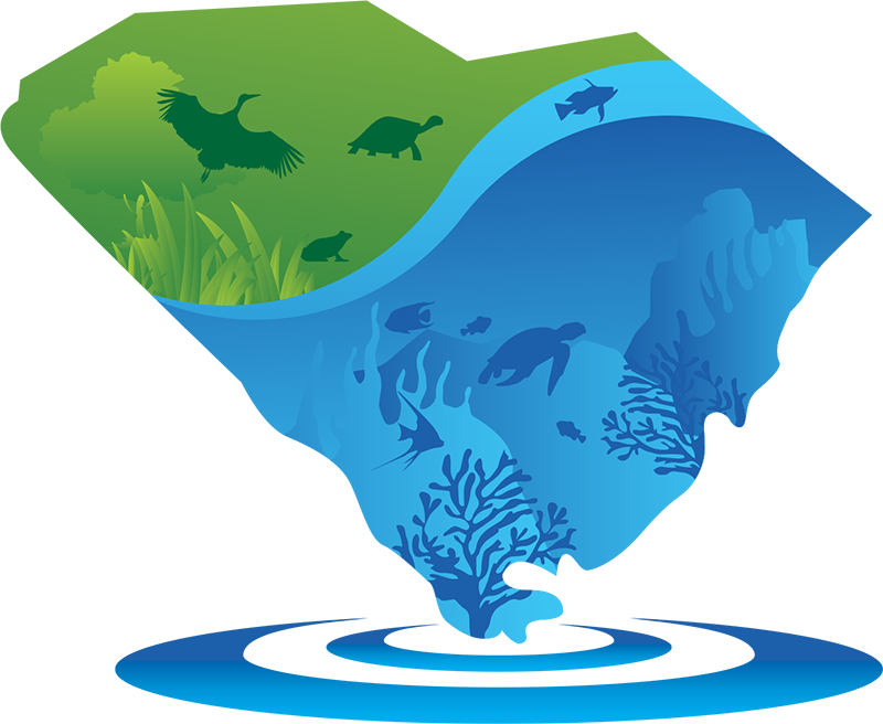 Courtyard Myrtle Beach Broadway - Illustration (800x656)