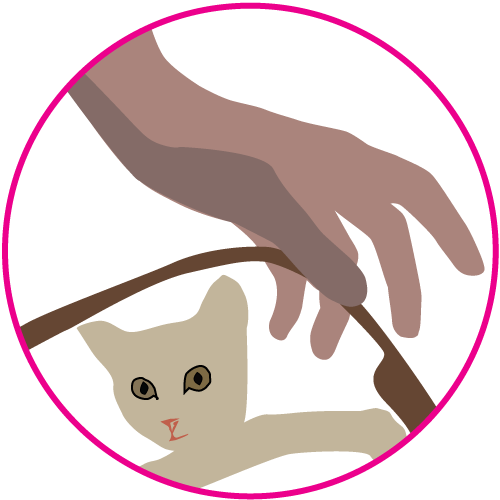 Howto1 Reshaping - Horizon Observatory (500x500)