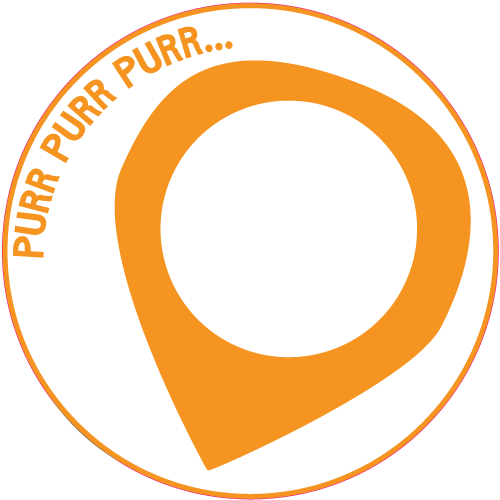 Put The Ripple Rug In Your Cat's Favorite Spot - News Aggregator (500x500)