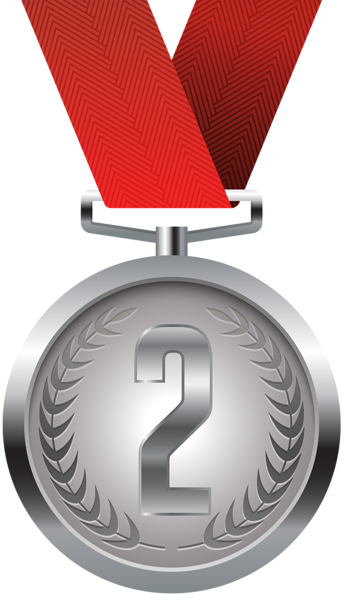 Silver Medal Png Clip Art - Silver Medal Png (344x600)