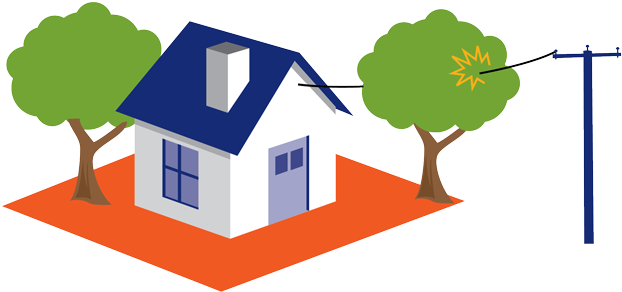 Power Line Clipart House - Climbing A Tree Beside A Powerline (800x537)