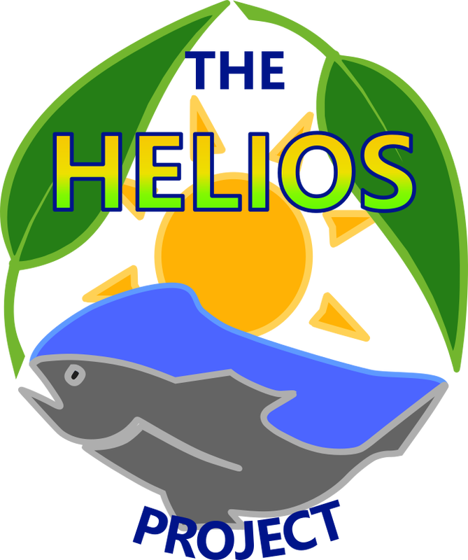 School Profiles - Helios Project (669x800)