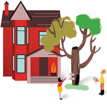 Heritage Tree Care Professional Tree Care And Removal - Heritage Tree Care (375x469)