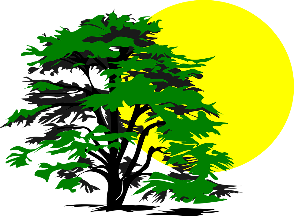 Tree House Clipart 26, - Tree And Sun Clip Art (960x707)