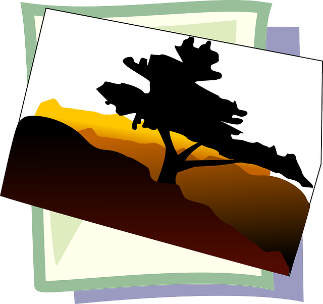 Symbol, Image, Photo, Icon - Bonsai Tree Clip Art (640x602)
