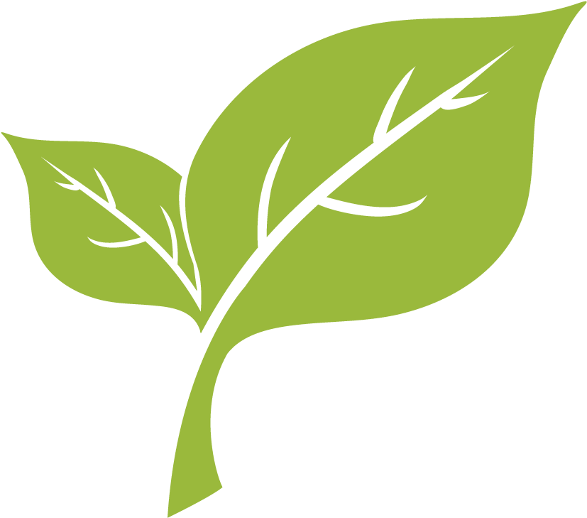 Allowing The Plants And Grasses Around The Tree To - T Logo Leaf Png (1000x1000)
