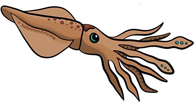 Digital Drawing Of Squid Comic Cartoon Using Artrage - Cartoon Picture Of Squid (650x356)