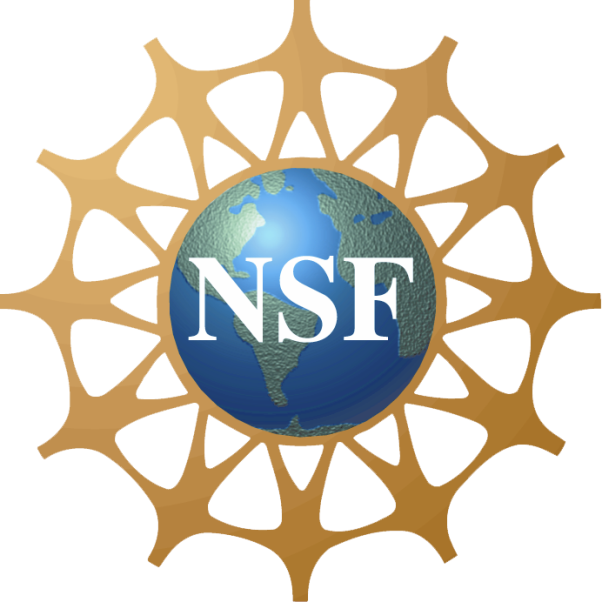 Electronics & Computer Engineering Technology - Nsf Logo Transparent Background (602x602)