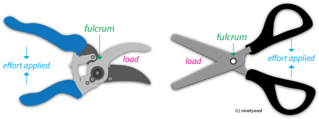 Different Types Of Levers, Cephalic Vein - Type Of Lever Is Scissors (667x249)