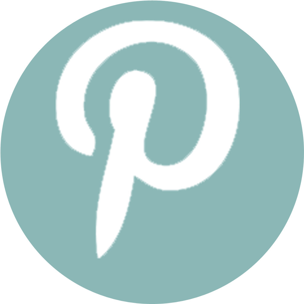 Pinterest Logo Pinterest Logo Png Transparent Background - Camera Icon (1067x1067)