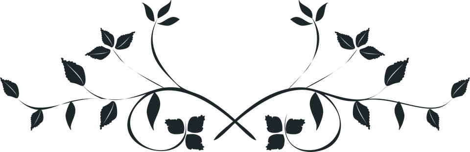Decorative Line Black Png 14, Buy Clip Art - Leaves Black And White Png (960x312)