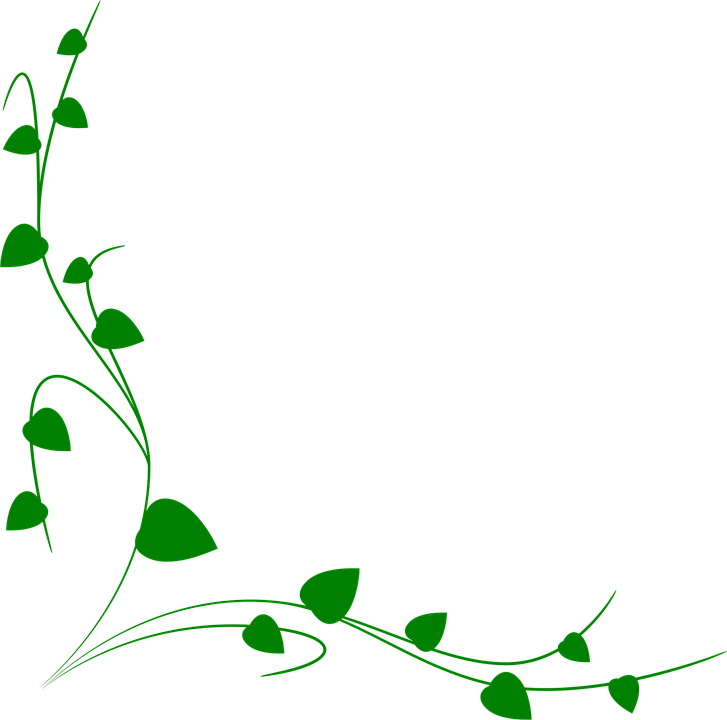 Decorative Line Clipart 27, - Hình Trang Trí (727x720)