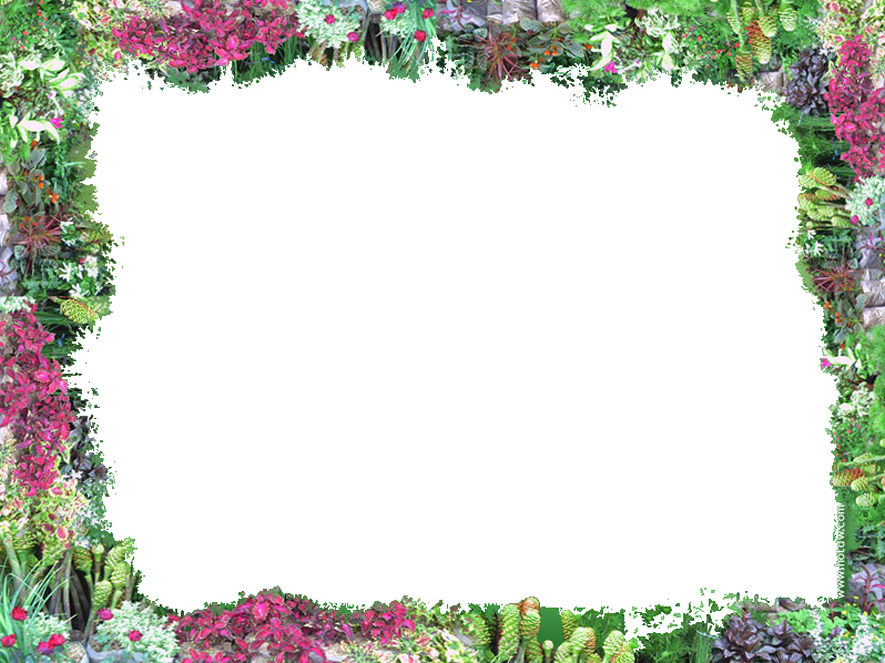 Frame Flower Border Photo By Ebony Storm - Border Flowers Png (798x598)