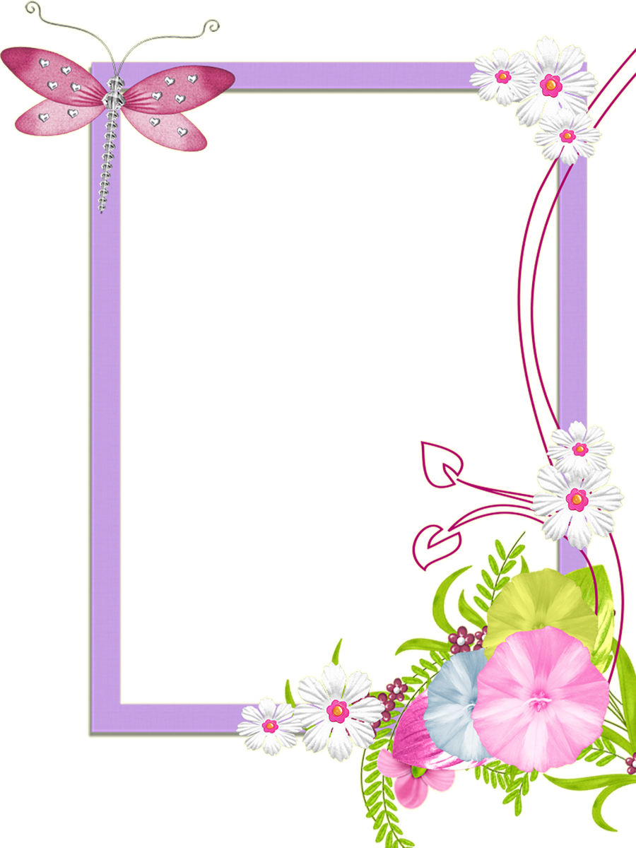 Spring Border Png For Kids - Transparent Cute Frame (900x1200)
