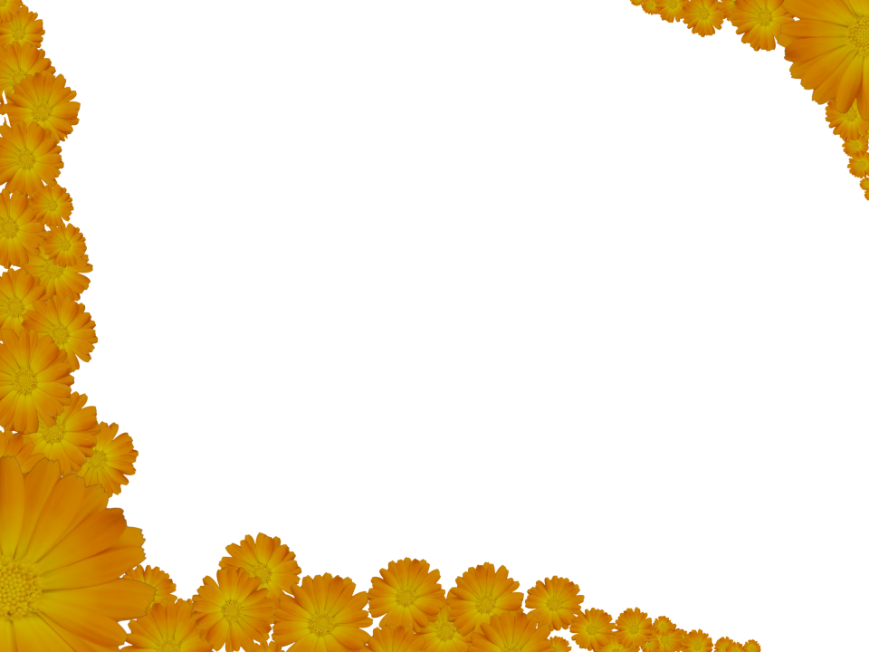 Bright Floral Corners Border In Yellow Color, Rectangular - 3d Backgrounds Hd Border (960x720)