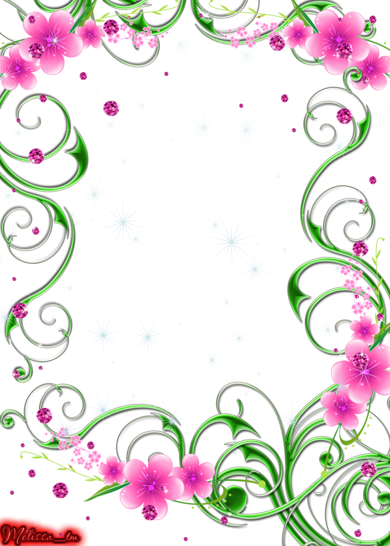Green Swirls With Pink Flowers And Gems Png By Melissa-tm - Pink And Green Border (800x1120)