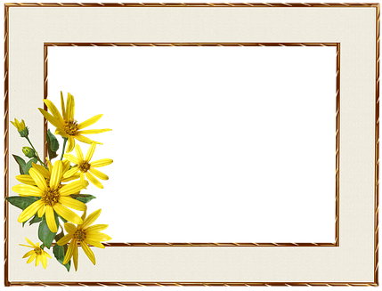Frame Border (438x340)