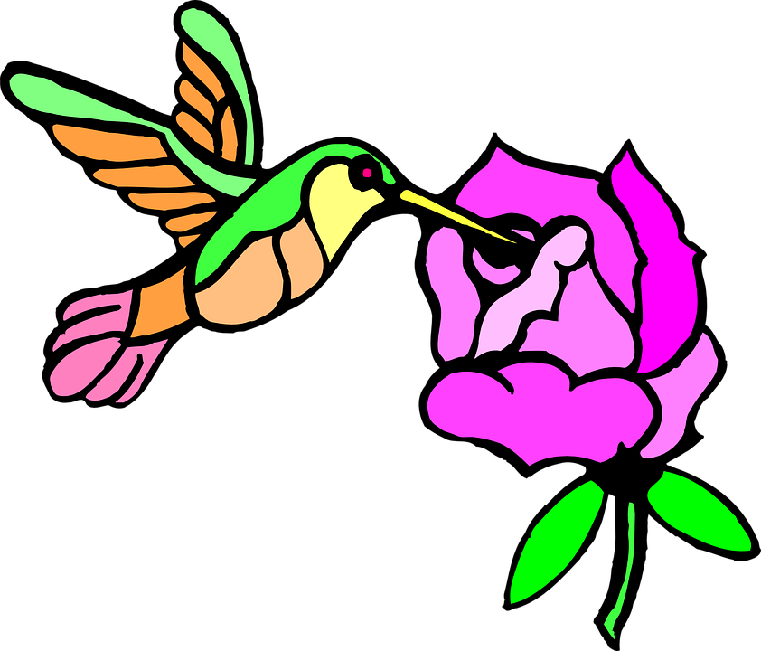 Wet Paint Cliparts 29, Buy Clip Art - Hummingbird And Flower Shower Curtain (842x720)