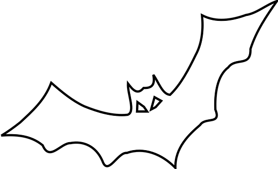 Outline Images - Outline Of A Bat (558x340)