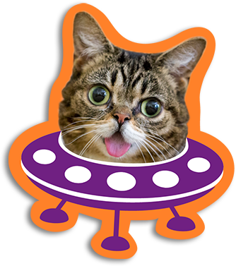 Wet Kitten Cliparts - Kitten Space Ship (334x377)