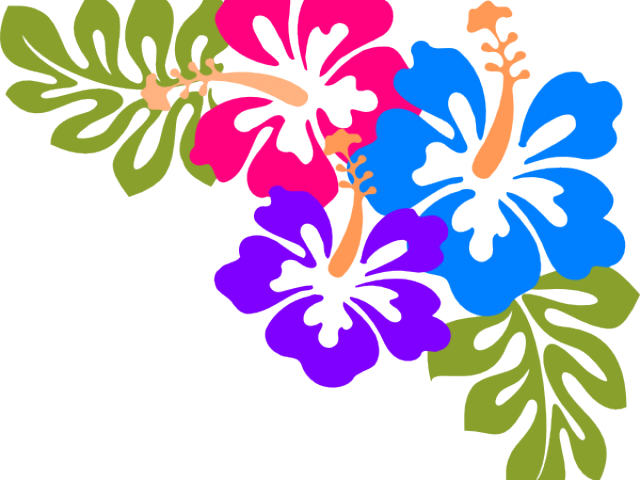 Hawaiian Luau Clipart - Clip Art Hawaiian Flowers (640x480)