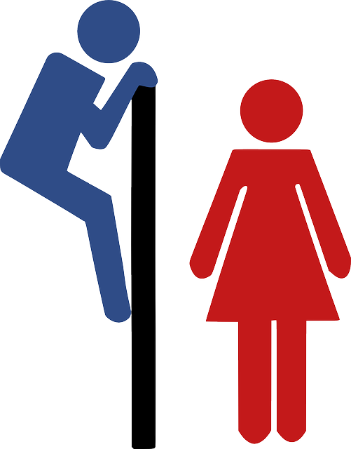 Icon, Symbol, Boy, Man, Lady, Silhouette, Female - Toilet Signs (501x640)