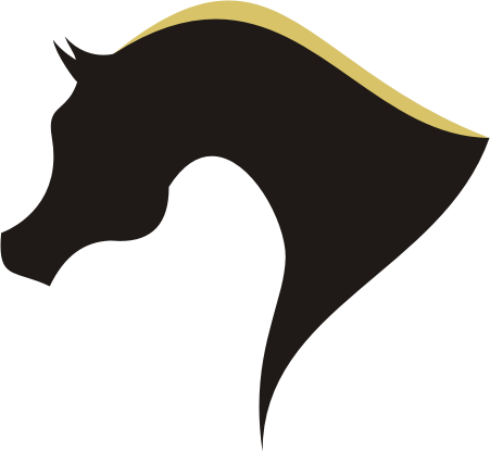 Com Forum Straight Egyptians - Arabian Horse Head Logo (451x416)