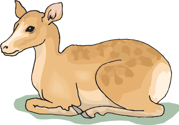 Deer Clipart Yellow Orange - Deer Sitting Clipart (600x420)