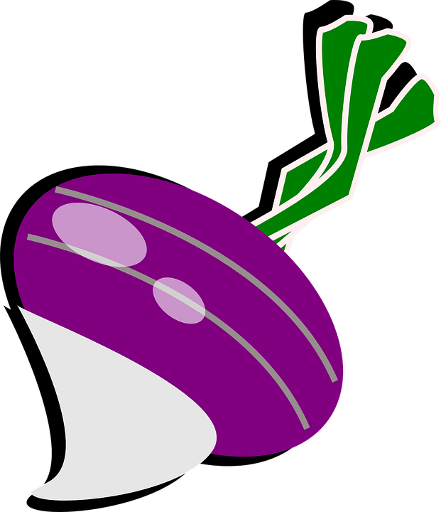 Carrot Clip Art 23, - Turnip Clipart (621x720)