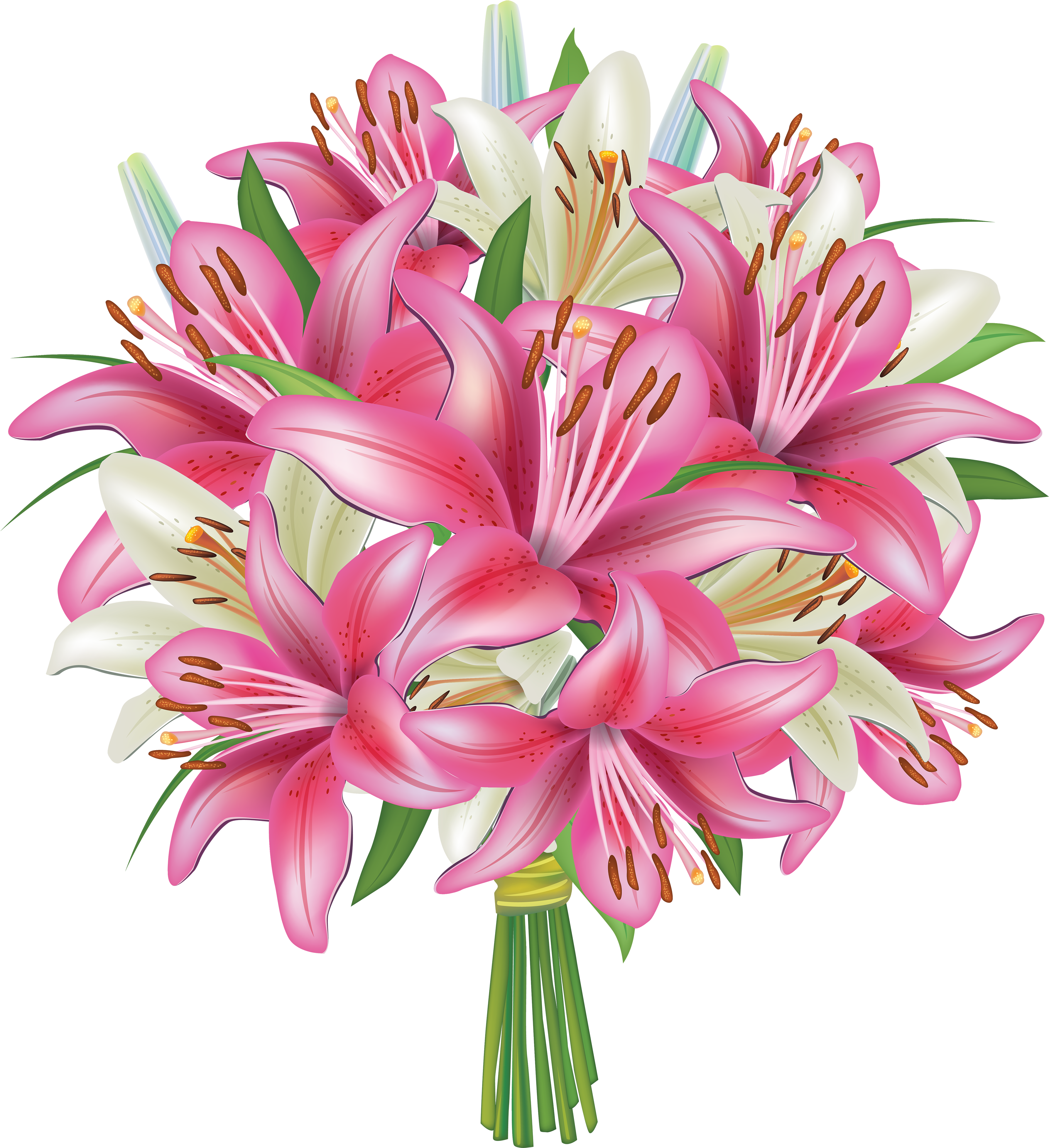 White And Pink Lilies Flowers Bouquet Png Clipart Image - White And Pink Lilies Flowers Bouquet Png Clipart Image (3656x4000)