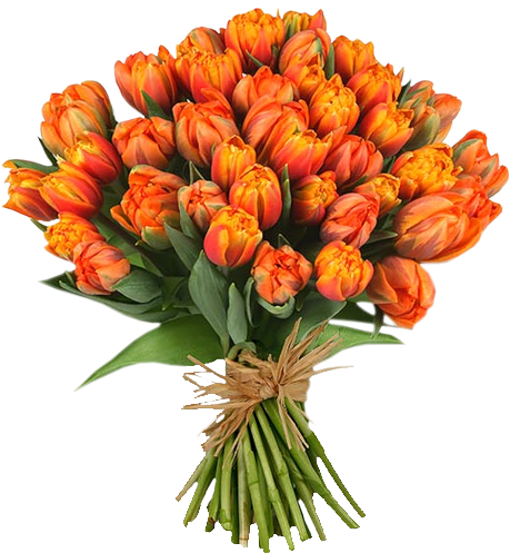 Tulip Bouquet Cliparts Free Download Clip Art Free - Flower Bouquet Transparent Background (459x497)