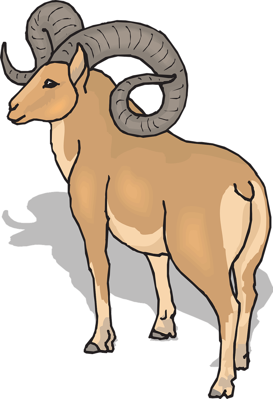 Ram Clip Art (874x1280)