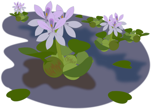 Violet Tanaman - Water Hyacinth Png (500x500)