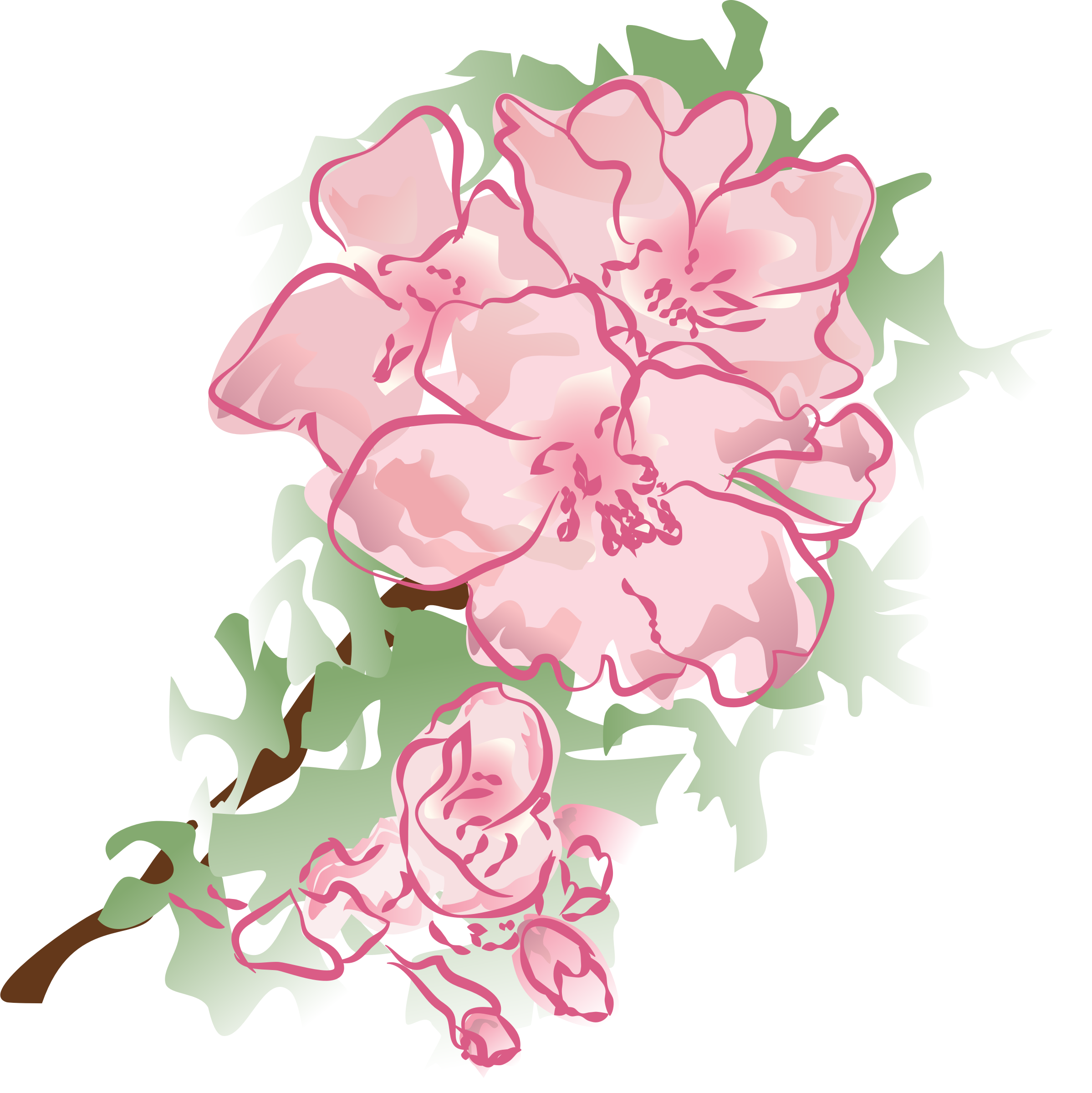 Carnation Clipart Mothers Day - Pink Peonies Clip Art (2398x2400)