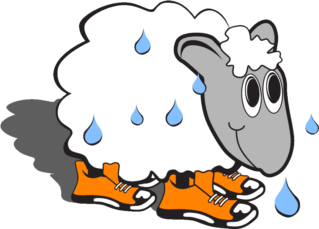 California Events - Sweaty Sheep (1132x804)